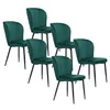 A set of six green dining chairs arranged on a white background. Anteprima dell’immagine prodotto