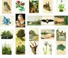 Kunstkarten-Topseller-Set Albrecht Dürer Produktbild-Vorschau 1