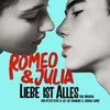 Romeo & Julia - Liebe ist alles (Das Musical) Produktbild-Vorschau 1