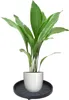 Pro Garden Pflanzenwagen - Kunststoff - dunkelgrau - rund - Produktbild-Vorschau 3