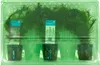 3er Set - Aquarium Pflanzen Echt - Aquarium Zubehör - Produktbild-Vorschau 3