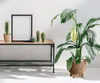 A plant pot is displayed on a wooden table next to a framed picture and decorative cacti. Anteprima dell’immagine prodotto