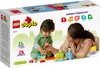 LEGO® DUPLO® 10954 Pociąg z cyferkami - nauka liczenia Podgląd zdjęcia produktu 12