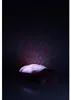 Cloud b®Twinkling Twilight Turtle™- Nachtlicht mit Melodie, Produktbild-Vorschau 3