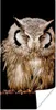 MuchoWow® Poster Eule - Vogel - Schwarz 60x120 cm - Produktbild-Vorschau 1