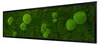 Moosbild Forest Design (140x40, schwarz) Produktbild-Vorschau 1