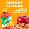 TAJIN Scharf-fruchtige Chamoysauce 455ml – Fruchtig und Produktbild-Vorschau 4