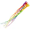 HQ Drachenschwanz Soft Swirl Rainbow 600 cm - 8 colours Produktbild-Vorschau 1