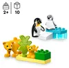 10442 - LEGO DUPLO - Familles d'animaux sauvages : Voir les images du produit 18