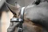 Busse Kappzaum FIT PRO schwarz, Produktbild-Vorschau 8