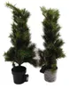 Black Box Trees Glendon Set de 2 sapins de Noël et 1 Voir les images du produit 12