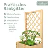 holz4home® Pflanzkasten mit Rankgitter S aus Kiefernholz I Produktbild-Vorschau 3