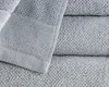 Detexpol Ručník Vito 70x140 světle šedé bavlněné froté Náhled obrázku produktu 3