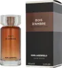 Karl Lagerfeld Bois D'Ambre toaletní voda ve spreji 100 ml Náhled obrázku produktu 13