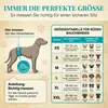 HUND IST KÖNIG Hundewindeln für Rüden [3 Stk], L (Taille Produktbild-Vorschau 3