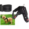 A dog wearing a harness in a grassy field, with close-ups of the harness and a strap. Produktbild-Vorschau