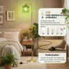 A bedroom scene with a floor lamp, bed, and plants. Anteprima dell’immagine prodotto