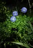 GLOBO 33599P Solarleuchte Edelstahl, 3x LED Produktbild-Vorschau 1