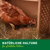 HÜHNER Land Milben Spray für Hühner 1L – Gegen Milben & Produktbild-Vorschau 5