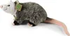 Plsch Opossum 27 cm ECO-FRIENDLY Produktbild-Vorschau 3