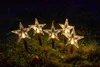 Weihnachtliche Gartenstecker-Lichterkette mit 5 LEDs Produktbild-Vorschau 2
