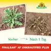 Neudorff Finalsan AF GierschFrei 750 ml Produktbild-Vorschau 9