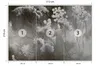 Muralo Vlies Fototapete Blumen ABSTRAKTION Pflanzen Produktbild-Vorschau 2