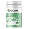 AniForte – środek przeciw kleszczom dla dużych psów o wadze Podgląd zdjęcia produktu 1