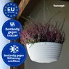 KONZEPT Blumenampel Hängend für Innen und Außen, Produktbild-Vorschau 6