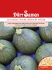 Artikelbild 1 von 'Zucchini Tondo chiaro di Nizza' aus der Kategorie Zucchinisamen Produktbild-Vorschau