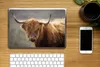 MuchoWow® Laptop Aufkleber Sticker Cover Schottisches Produktbild-Vorschau 2