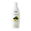 TEEBAUM ÖL KUR Shampoo Swiss O-Par Produktbild-Vorschau 1