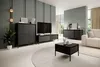A modern living room with dark furniture and light walls. Náhled obrázku produktu