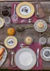 Villeroy & Boch Audun Farm polévkový talíř 24 cm Náhled obrázku produktu 3