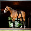 Horseware LED Red Light Therapy Bandage , Produktbild-Vorschau 19