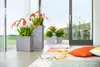 Lechuza Canto Stone plastový květináč 30x30x30 cm šedý Náhled obrázku produktu 6