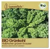 Samenliebe  Grünkohl Samen | Halbhoher grüner Krauser - Produktbild-Vorschau 1