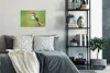 MuchoWow® Poster Vogel - Tiere - Bienenfresser 30x20 cm - Produktbild-Vorschau 4