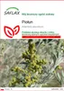 SAFLAX - Piołun - 500 Nasiona - Artemisia absinthum Podgląd zdjęcia produktu 1