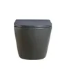 A front view of a dark gray wall-mounted toilet with a dark gray lid, isolated on a white background. Anteprima dell’immagine prodotto
