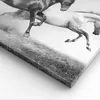 Bild auf Leinwand - Leinwandbild - Pferde Tiere Galopp Produktbild-Vorschau 5
