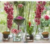 Dekoglas, Vase ZYLINDER H. 19cm D. 9cm transparent rund Produktbild-Vorschau 7