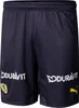 Puma RNL Rhein Neckar Löwen Shorts Tricot Shorts 22/23 blue Náhľad obrázku produktu 1