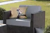 MuchoWow® Outdoor Kissen - Jungtiere - Sperberkauz - Zweig Produktbild-Vorschau 5