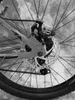 26 Zoll ALU MTB Mirage Gefedert, 21-Gang Shimano Produktbild-Vorschau 9