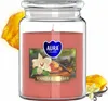 AURA Duftkerze VANILLE - AMBER 100h snd99-355 Produktbild-Vorschau 2
