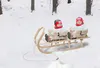 Doppelschlitten mit Winterfußsack Schlitten Holzschlitten Produktbild-Vorschau 2