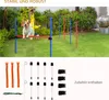 Pawhut – sada pro agility a slalom pro psy, trénink psích Náhled obrázku produktu 6