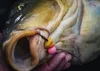 Tandem Baits SuperFeed Diffusion Mini Fluo Pop-Up Coco Produktbild-Vorschau 8