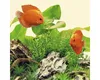 Nature LED 1200 mm, 23 W Voir les images du produit 6